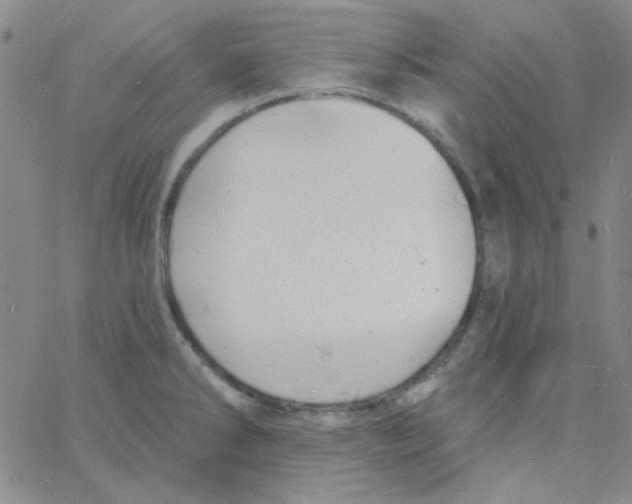 X0000060741286200512081908