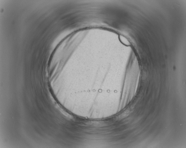 X0000060741287200512081908