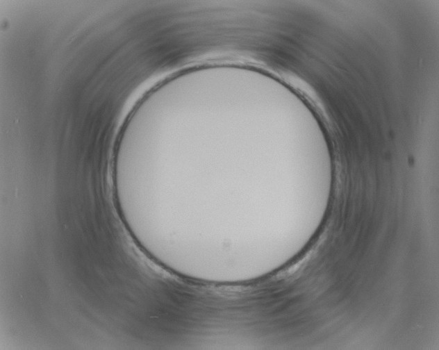 X0000060741288200512081908