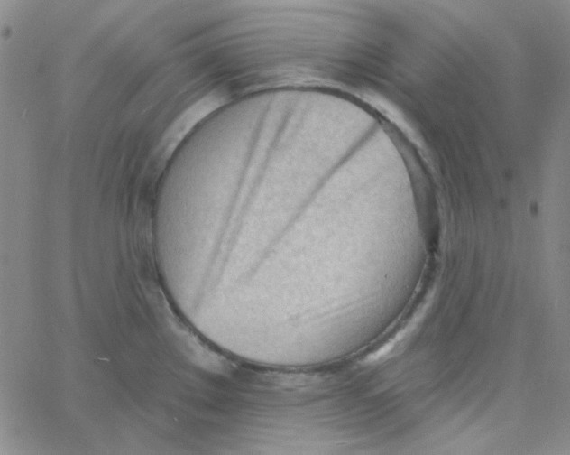 X0000060741289200512081908