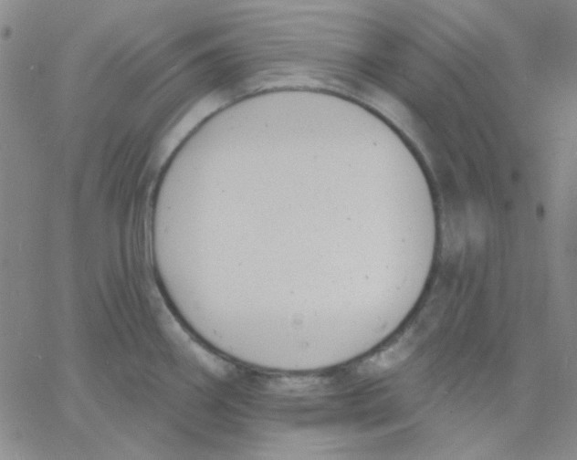 X0000060741290200512081908