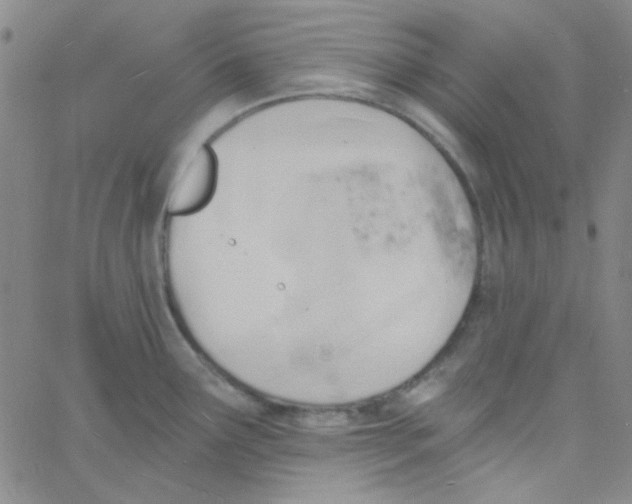 X0000060741291200512081908