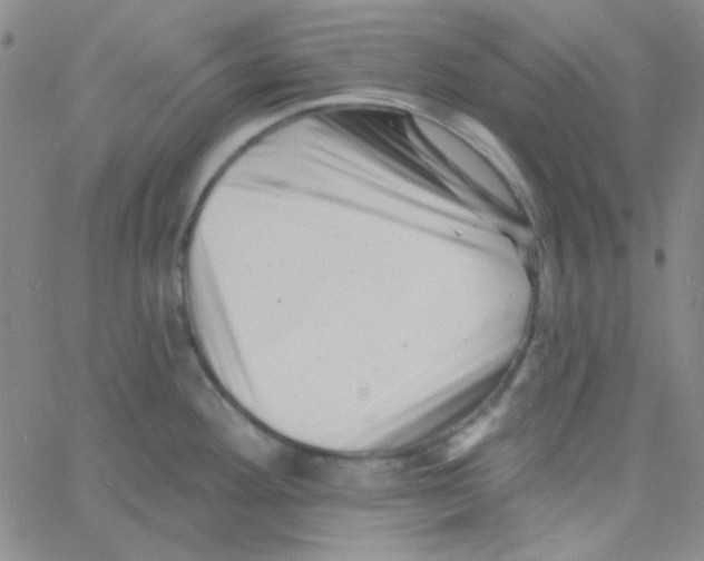 X0000060741292200512081908