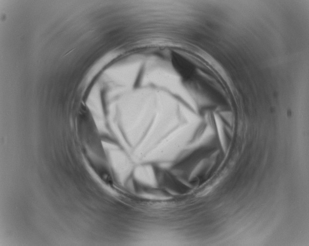 X0000060741293200512081908