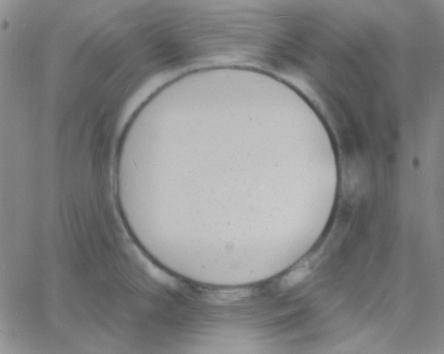 X0000060741294200512081908