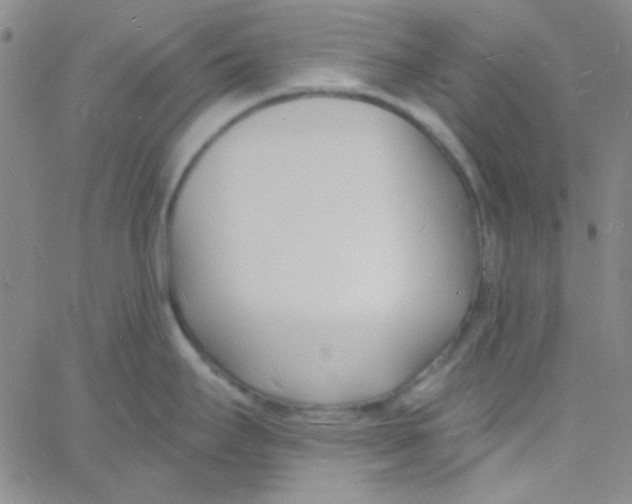 X0000060741295200512081908