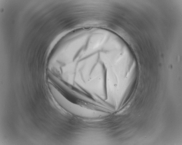 X0000060741296200512081908