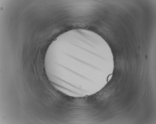 X0000060741297200512081907