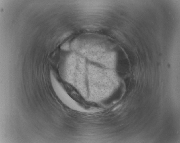 X0000060741298200512081907