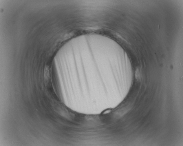 X0000060741299200512081907