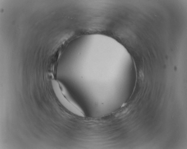 X0000060741300200512081907