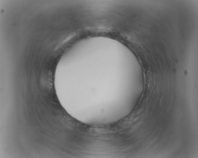 X0000060741301200512081907