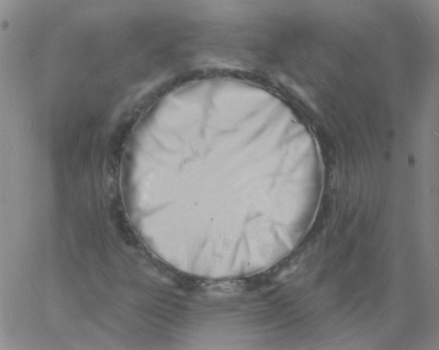 X0000060741303200512081907