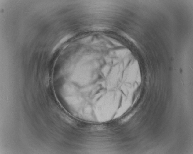 X0000060741306200512081907