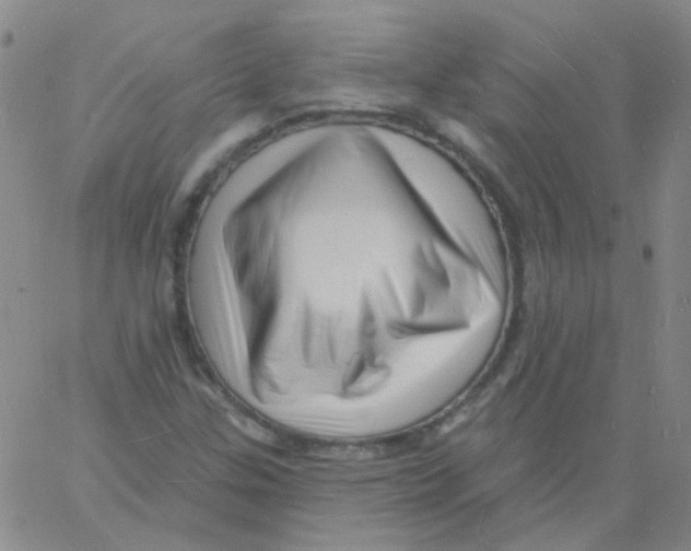 X0000060741307200512081907