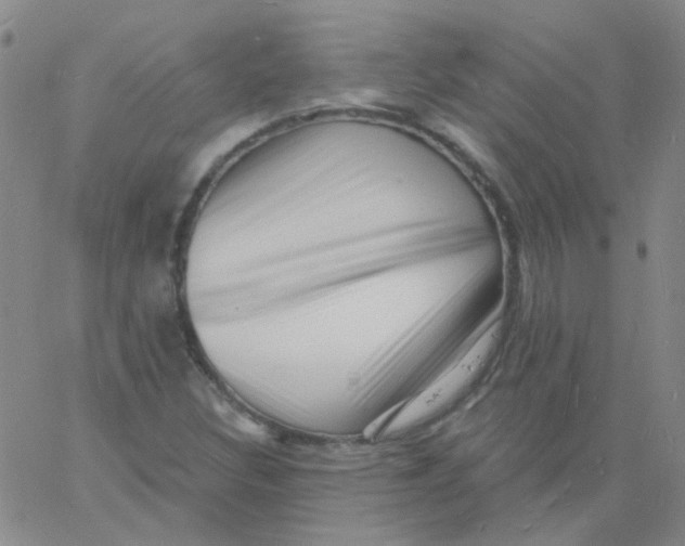 X0000060741308200512081907