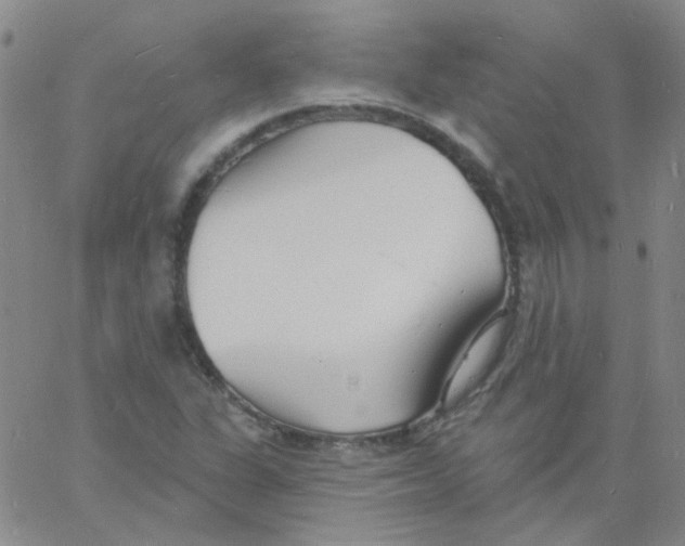 X0000060741311200512081907