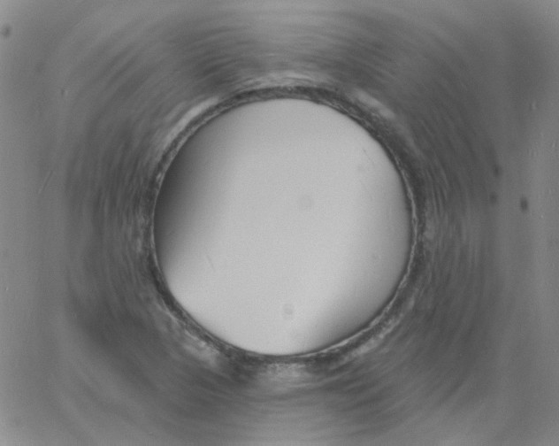 X0000060741313200512081907