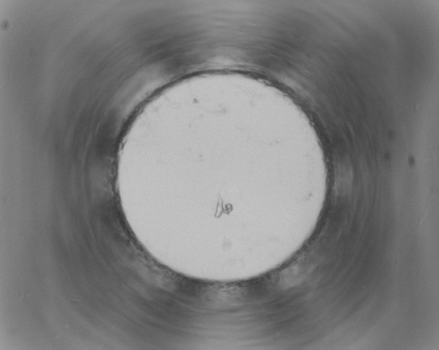 X0000060741314200512081908