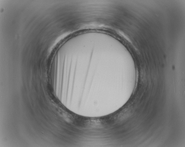 X0000060741315200512081908