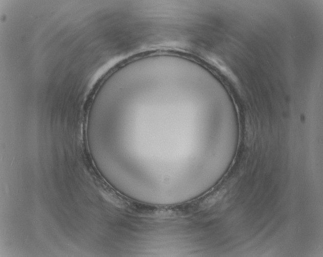 X0000060741316200512081908