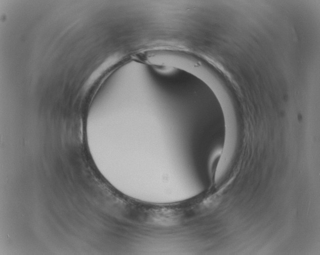 X0000060741317200512081908