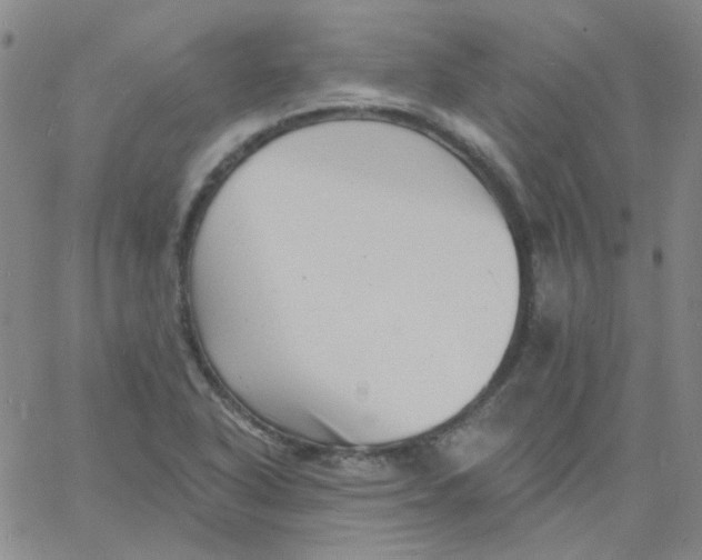 X0000060741318200512081908