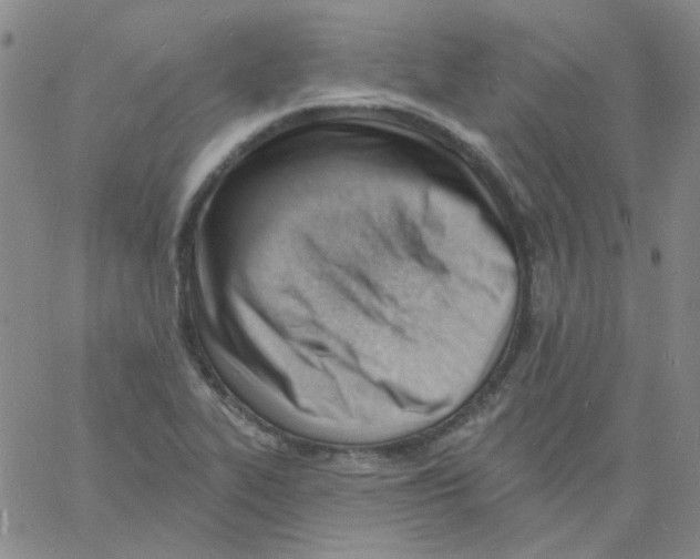 X0000060741319200512081908