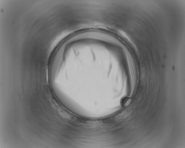 X0000060741320200512081908