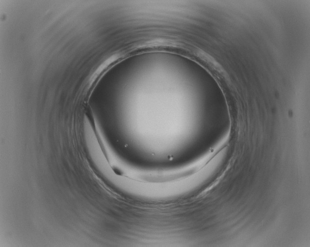 X0000060741321200512081908