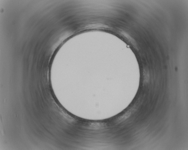 X0000060741322200512081908