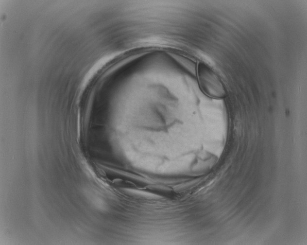 X0000060741323200512081908