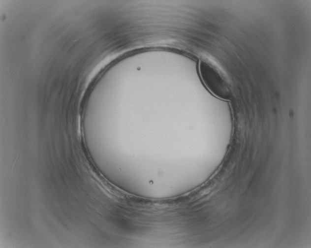 X0000060741324200512081908