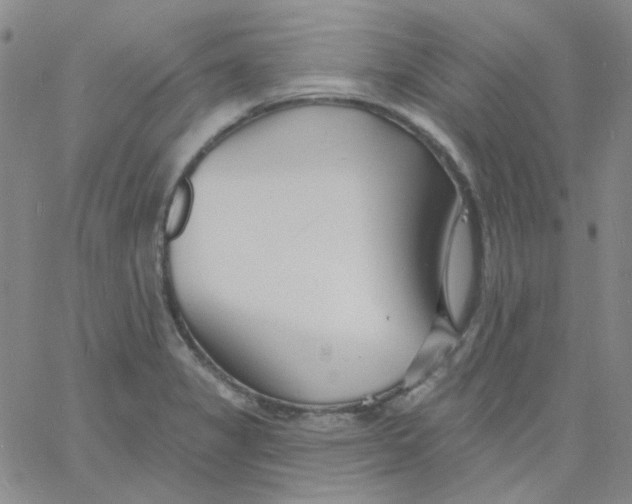 X0000060741325200512081908