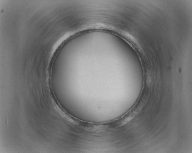 X0000060741326200512081908