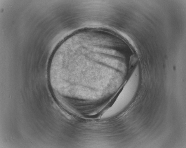 X0000060741327200512081908