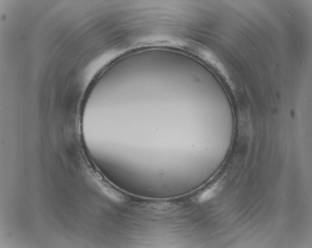 X0000060741328200512081908