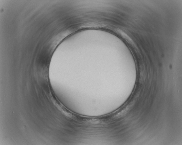 X0000060741329200512081908