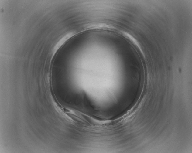 X0000060741330200512081908