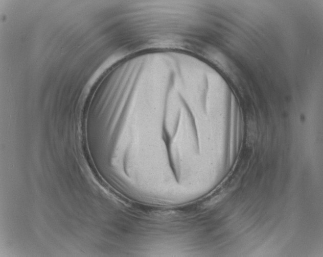 X0000060741331200512081908