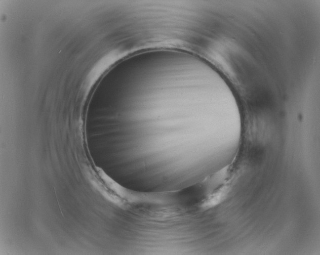 X0000060741332200512081908