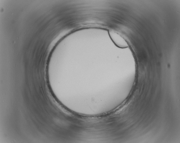 X0000060741333200512081908