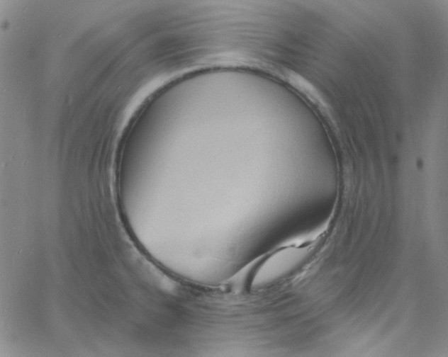 X0000060741334200512081908