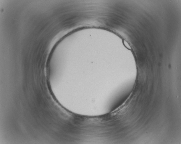 X0000060741335200512081908