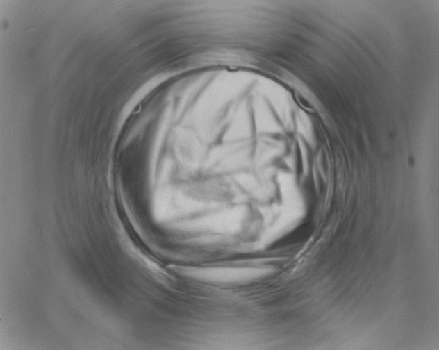 X0000060741339200512081908