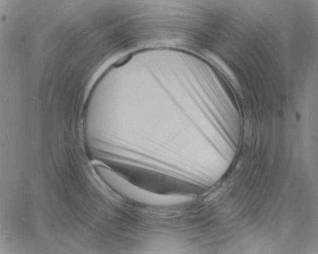 X0000060741340200512081908