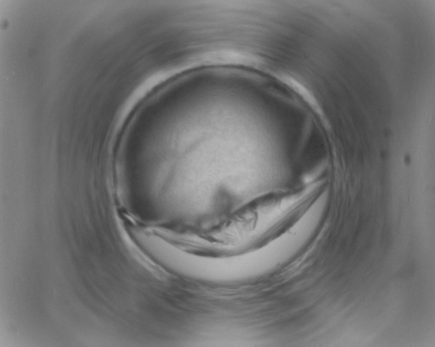 X0000060741342200512081908