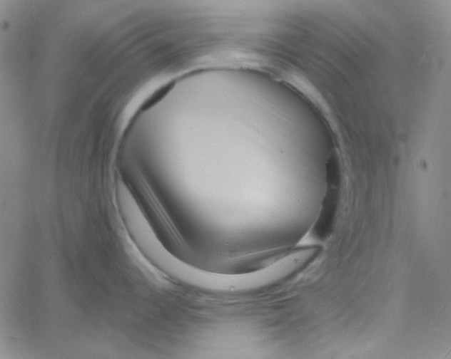 X0000060741344200512081908