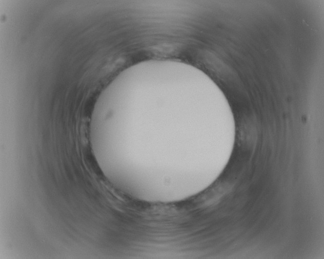 X0000060741346200512081907