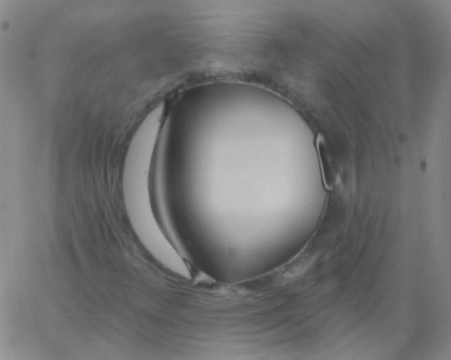 X0000060741348200512081907